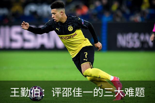 王勤伯：评邵佳一的三大难题